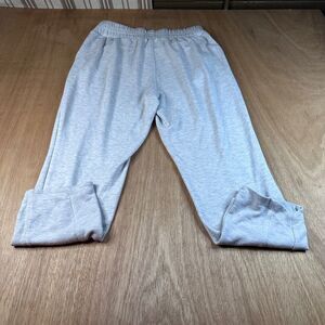 Danskin Womens Gray Jogger Pants Medium Pull On Lounge Athleisure